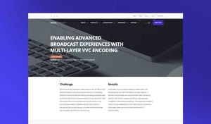 mulitlayer-vvc-casestudy