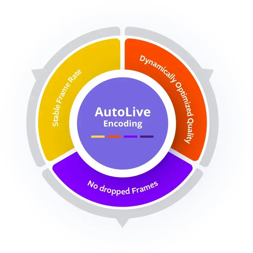 autolive-graphic autolive-graphic